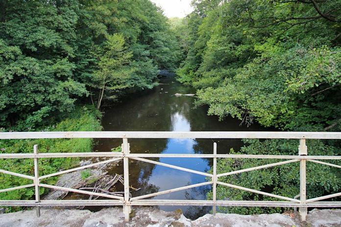 Ferienwohnungen im Harz Altenbrak Exterior foto